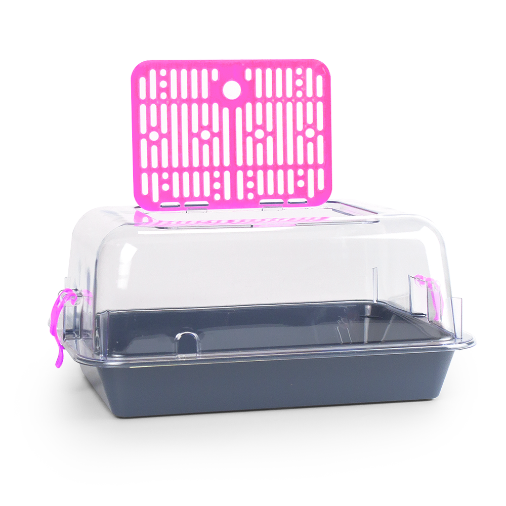 Террариум ZOOSET прозрачный серый/сиреневый - S (33х24х15 см)