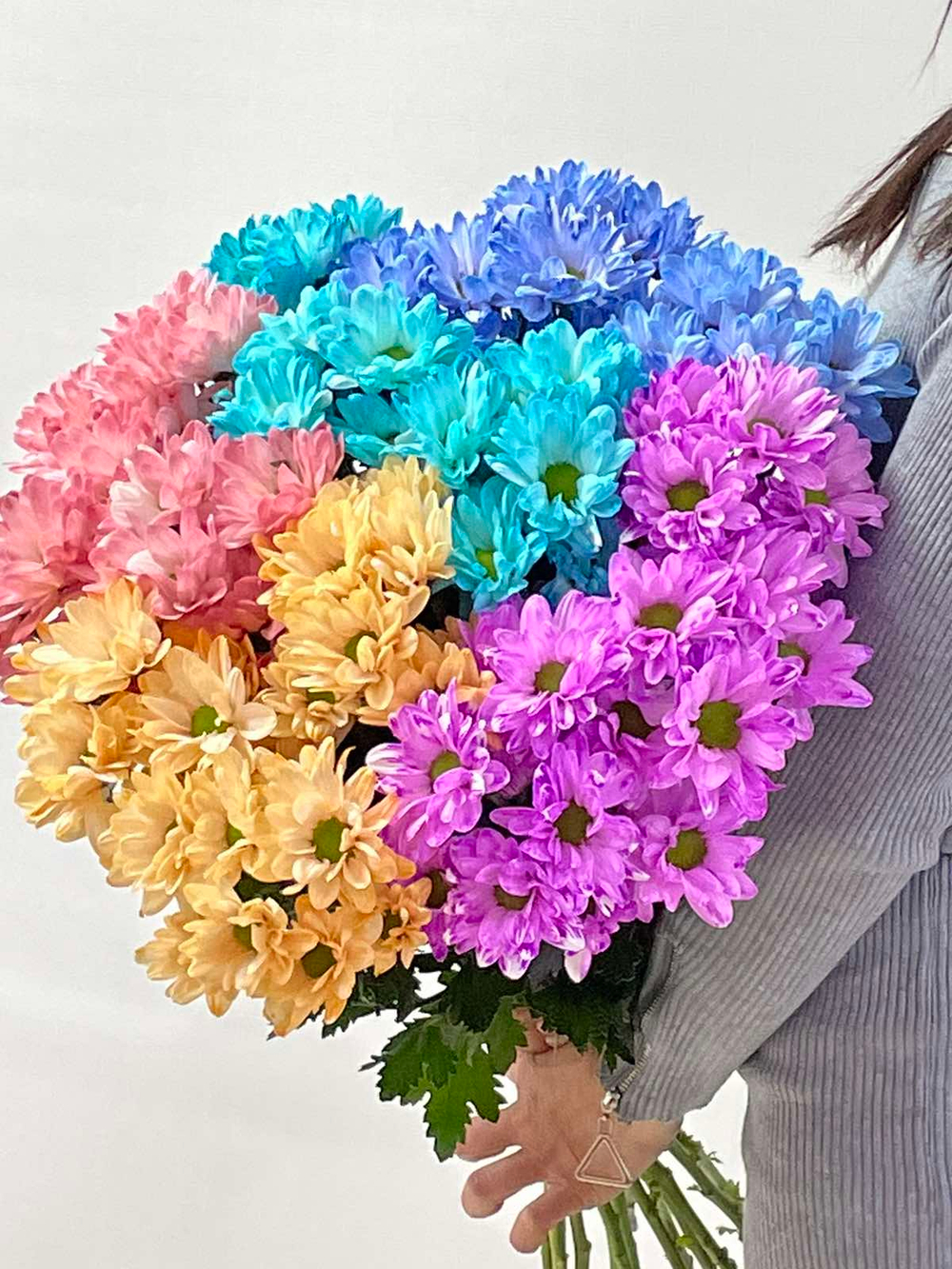 Хризантема кустовая