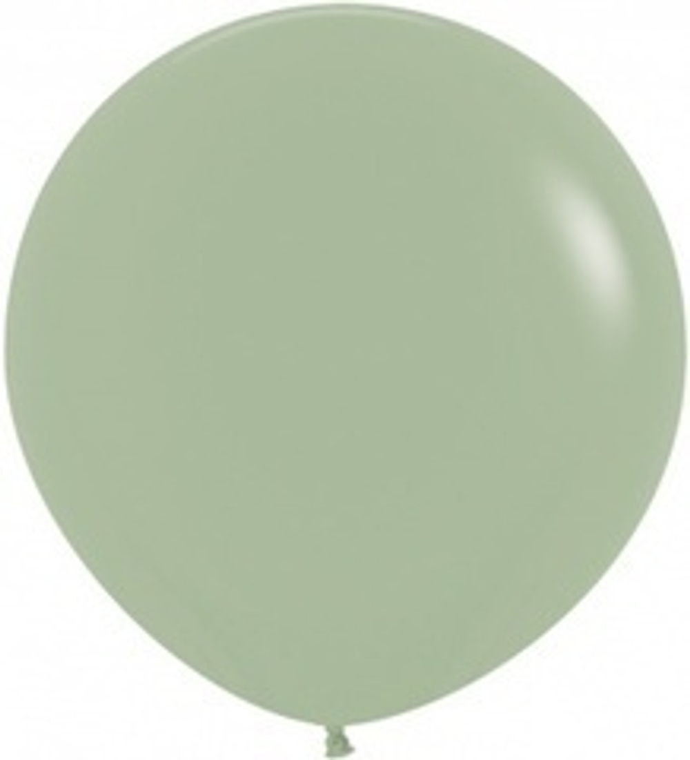 S 24''/60см, Пастель, Эвкалипт (027), 1 шт.