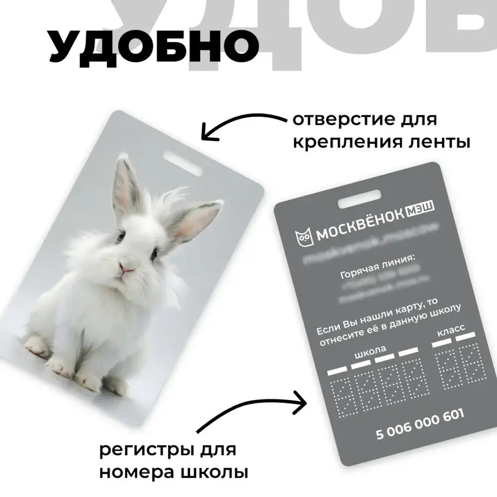 Карта Москвёнок BUNNY №4 (проход + питание)