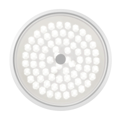 Потолочный светильник Freya FR10012CL-L24W