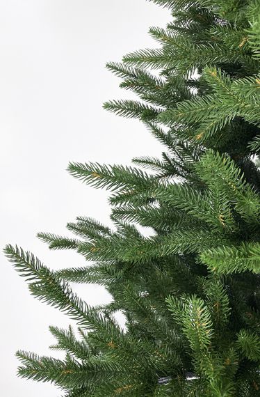 Ель Ленинградская купить от Ёлочки в Дом