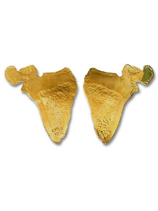 Брошь ЛОПАТКИ (под заказ)