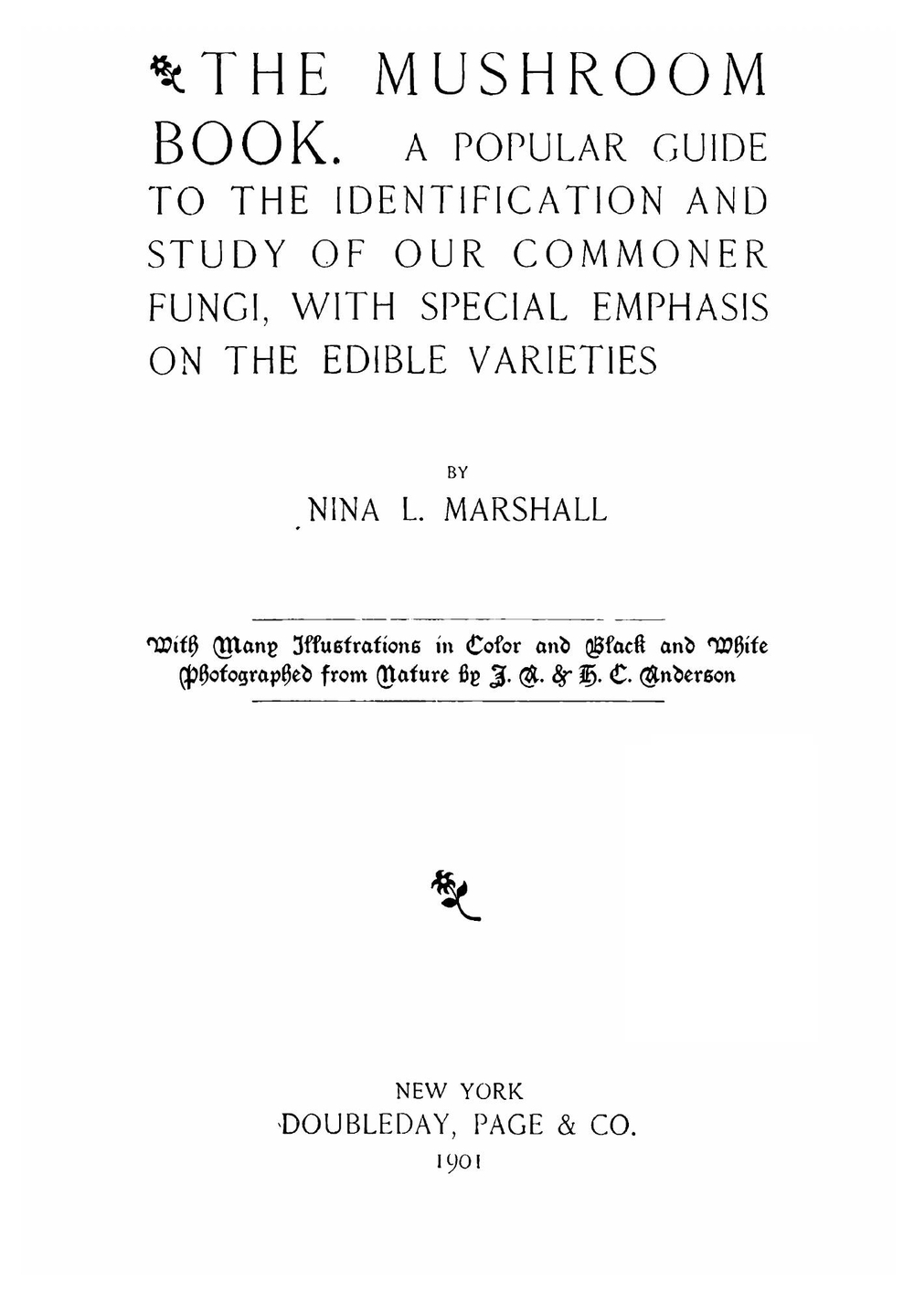 The mushroom book | Nina Lovering Marshall