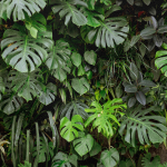 Дизайнерские обои Wall Street Frame-2019