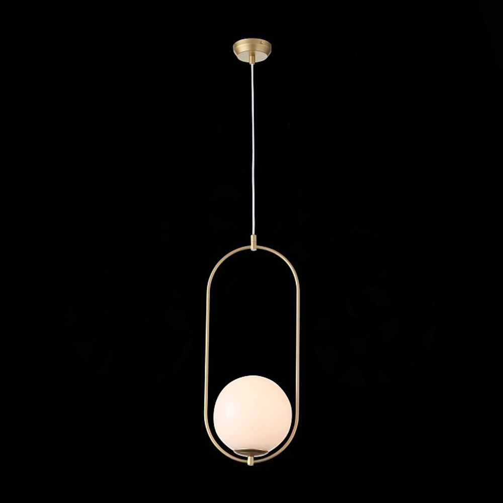 Подвесной светильник ST-Luce Penolo SL1118.203.01