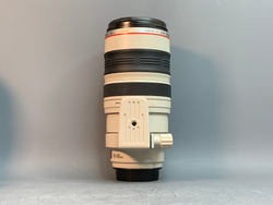 Canon EF 100-400mm 4.5-5.6L IS