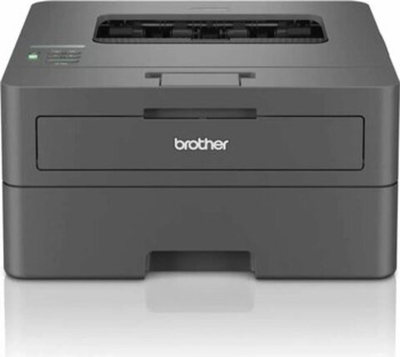 Лазерный принтер Brother HL-L2447DW