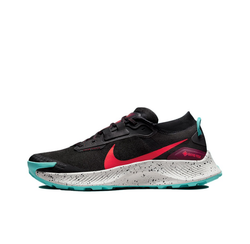 Мужские кроссовки Nike Pegasus Trail 3 Gore-tex 'Black Bright Crimson' DC8793-002
