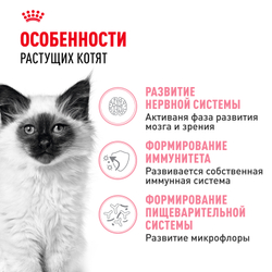 Royal Canin Kitten Корм сухой сбалансированный для котят в период второй фазы роста до 12 месяцев - 10 кг