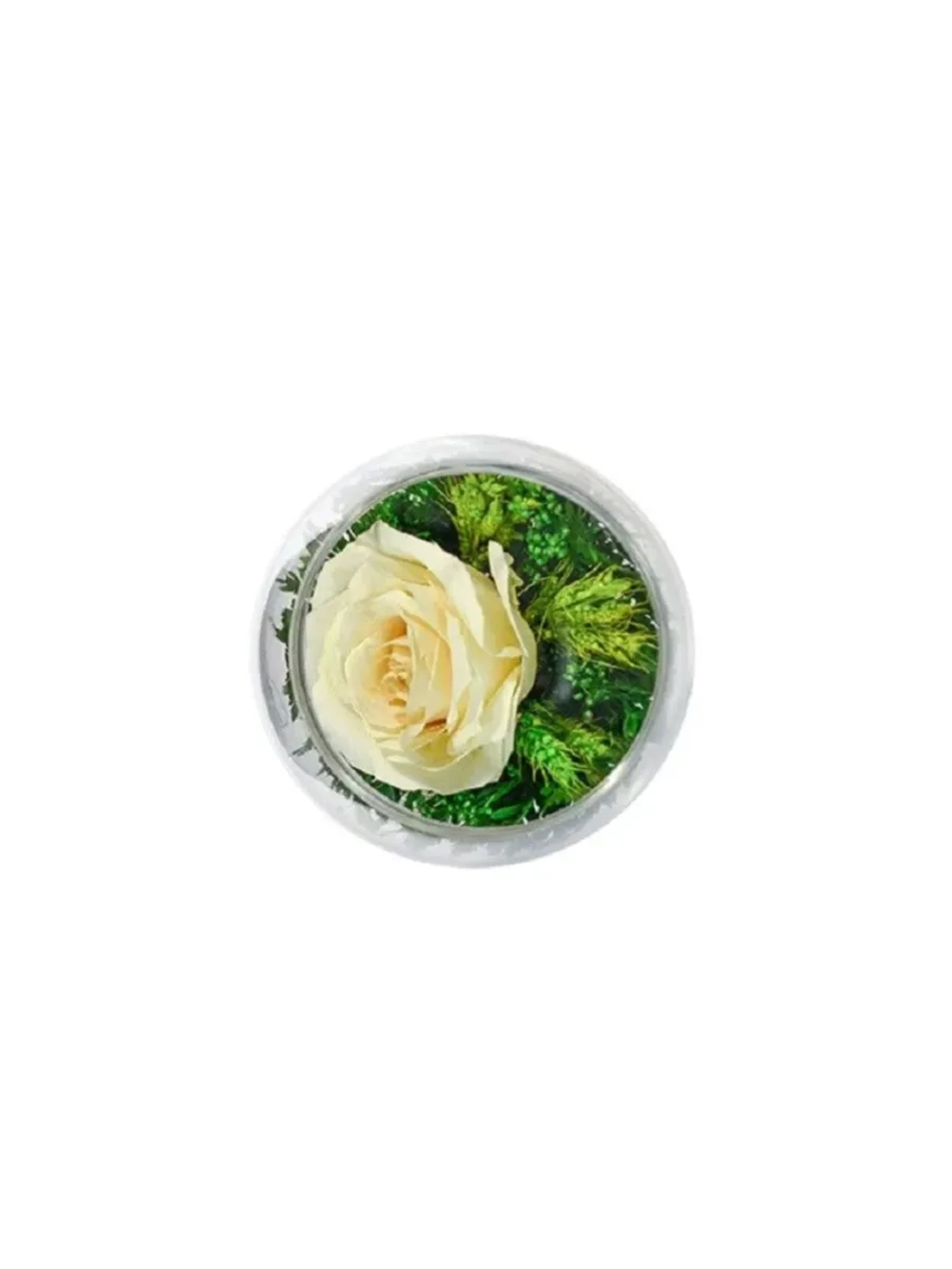 натуральные цветы в стекле, вакуум 07.09