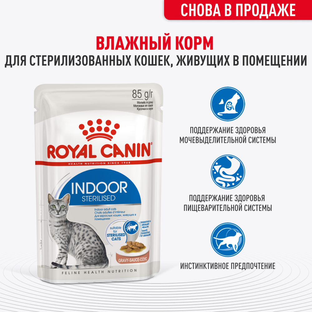 Royal Canin Kitten Sterilised Киттен Стерилайзд Корм влажный для кастрированных и стерилизованных котят в возрасте от 6 до 12 месяцев желе 85г