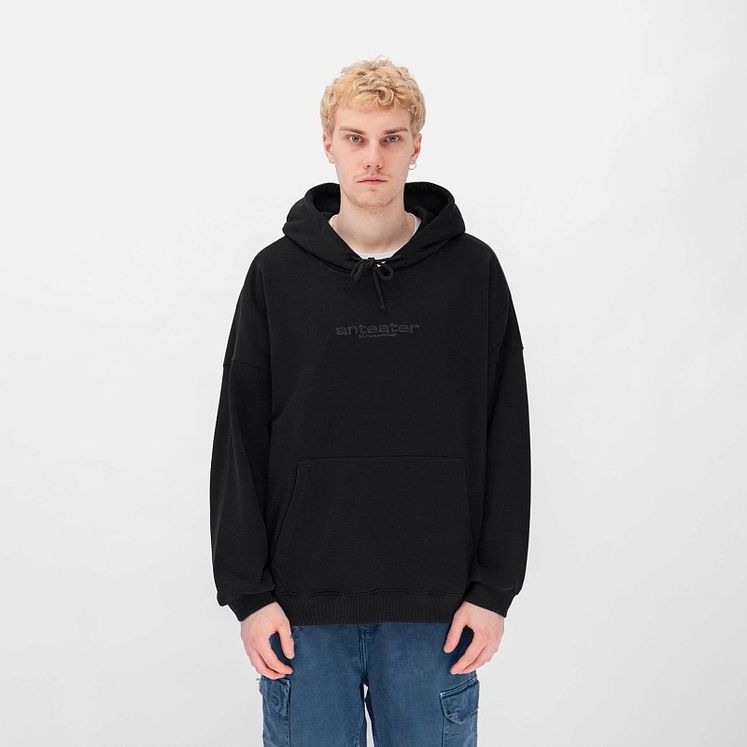 Худи Anteater Logo, черный