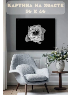 Картина на стену 40 X 50 Цветок чб