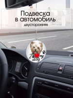 Подвеска в машину - Йоркширский терьер
