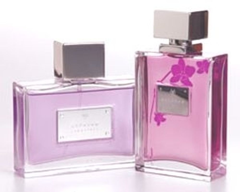 David Beckham Signature for Him