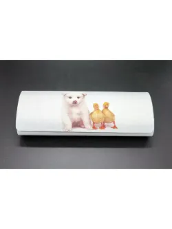 Футляр для очков