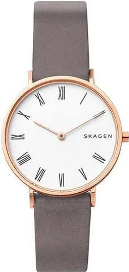 Женские наручные часы Skagen SKW2674