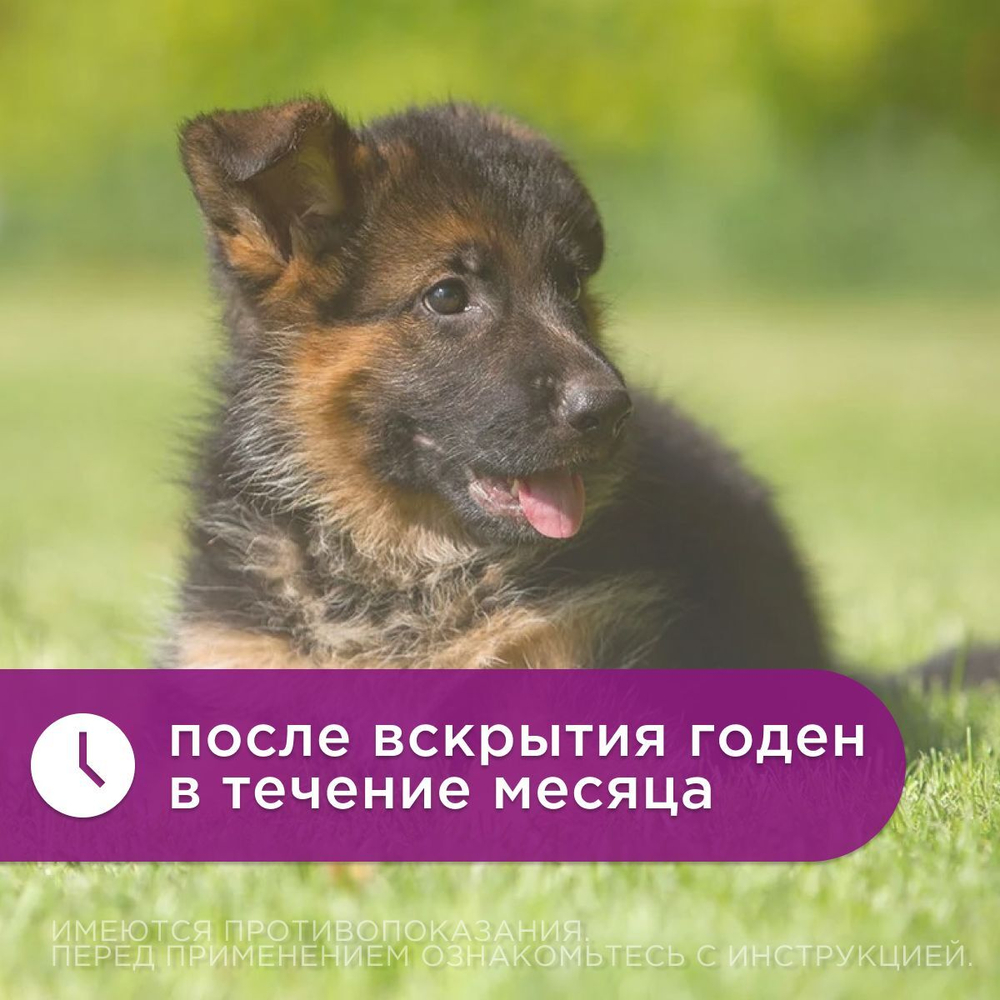 Ушные капли на основе растительных компонентов для гигиенической обработки ушей собак и кошек Отоферонол Био ( ТопВет), 10мл