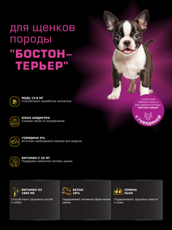 Корм сухой для щенков породы Бостон-терьер, с говядиной, 3 кг, QUATTRO