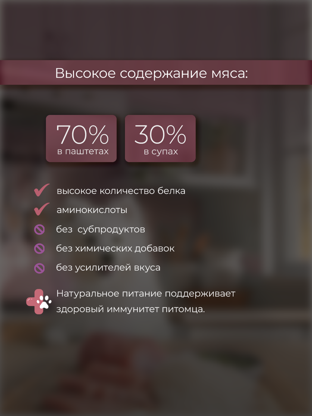 НАБОР Консервы DELISH Super Premium для собак с индейкой и рисом (паштет) - 10 шт х 80 гр