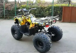 Электроквадроцикл Green Camel Атакама T320 (48V 1000W R8 Дифференциал)