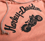 Толстовка Hoodie Script pink Harley-Davidson