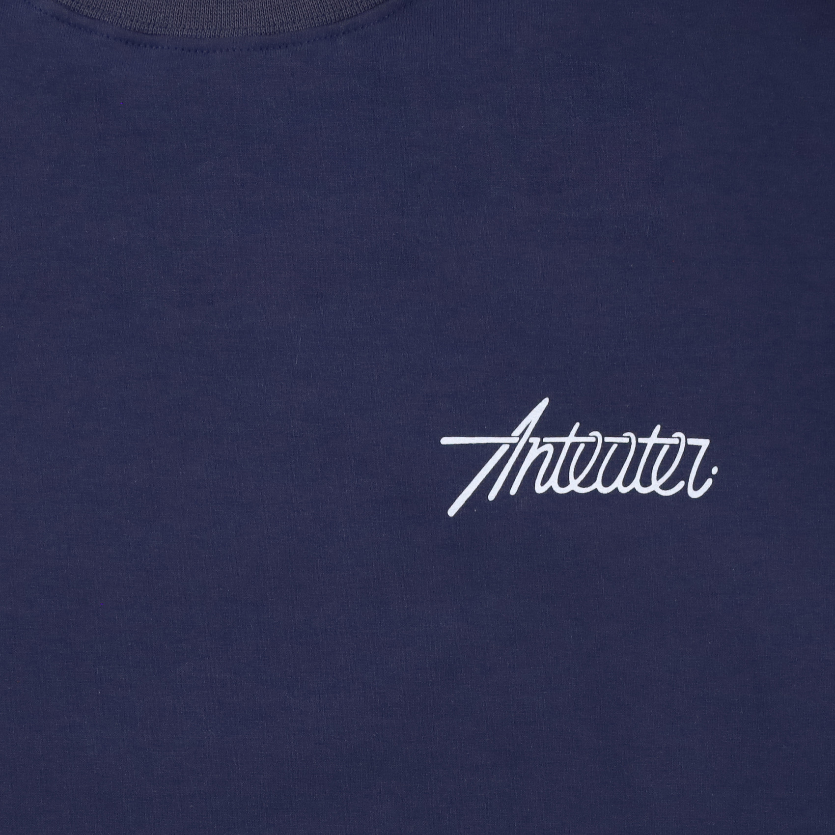 Лонгслив Anteater Phat Long113 (blue) артикул: - купить в магазине Дайс