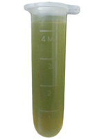 Экстракт морских водорослей,КЕЛПАМ Ауксин 20 мл