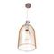 Подвесной светильник Loft IT Wildlife Loft1808