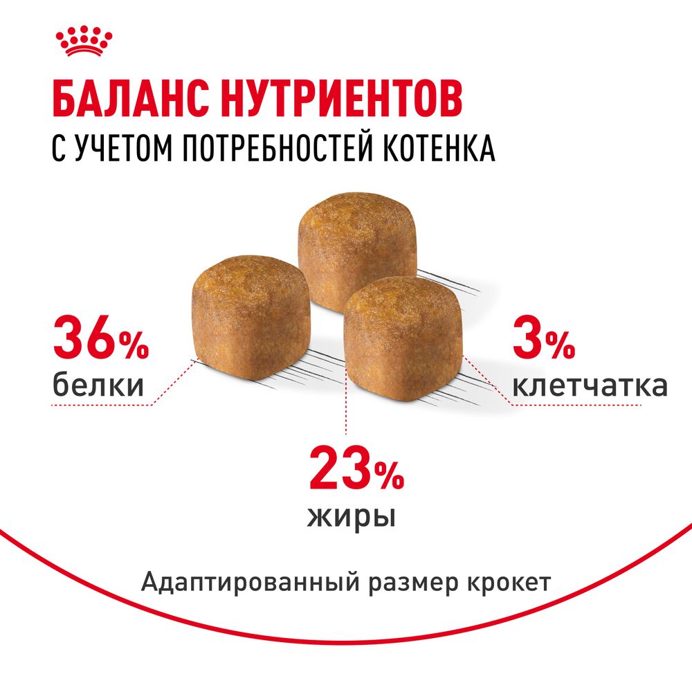 Сухой корм Royal Canin Maine Coon Kitten для котят породы Мэйн Кун