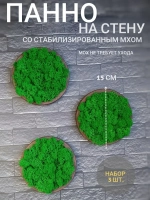 Панно из мха набор 3 шт.