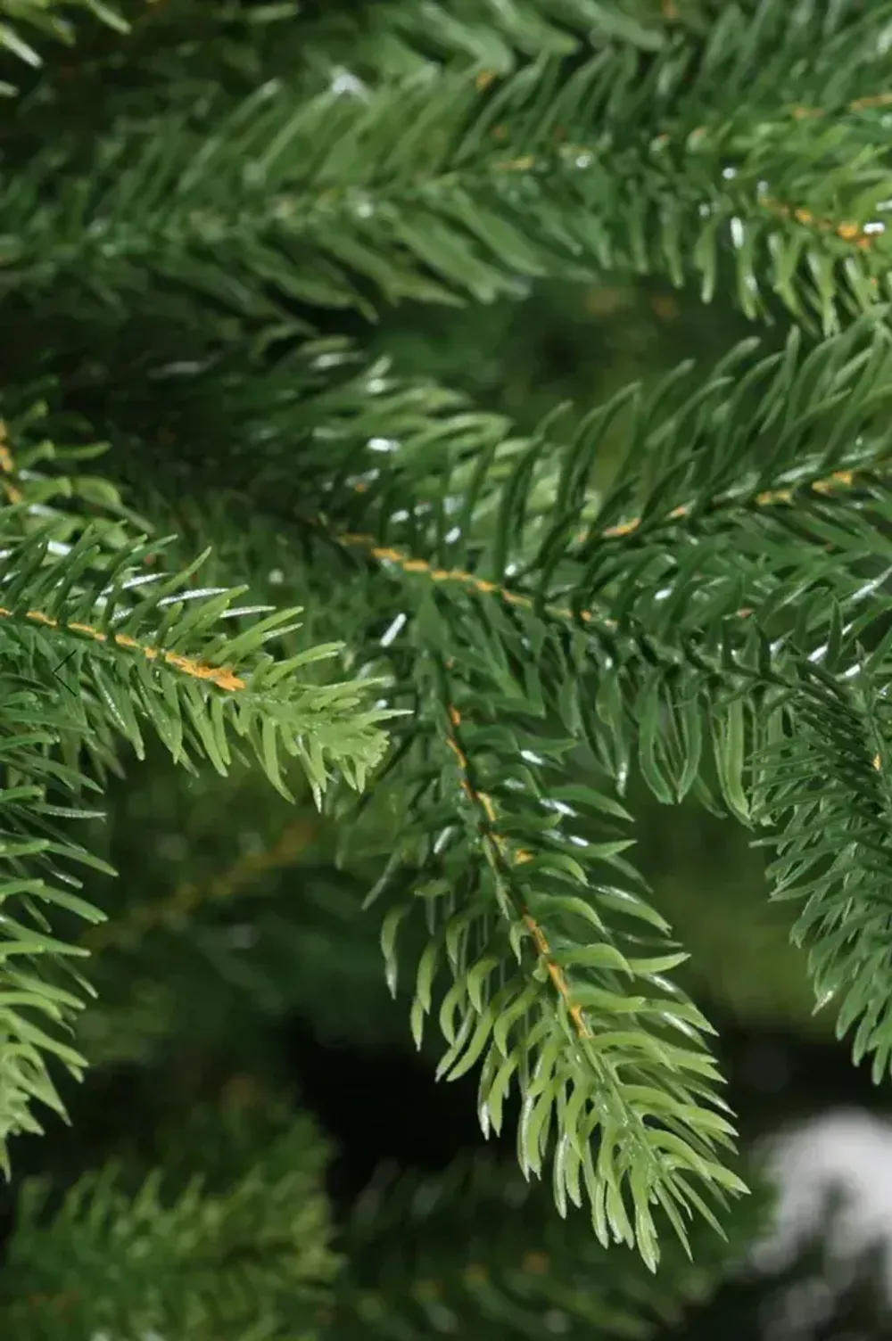 Елка с гирляндой встроенной «Сириус» (Литая хвоя) 215 см / 2,15 м