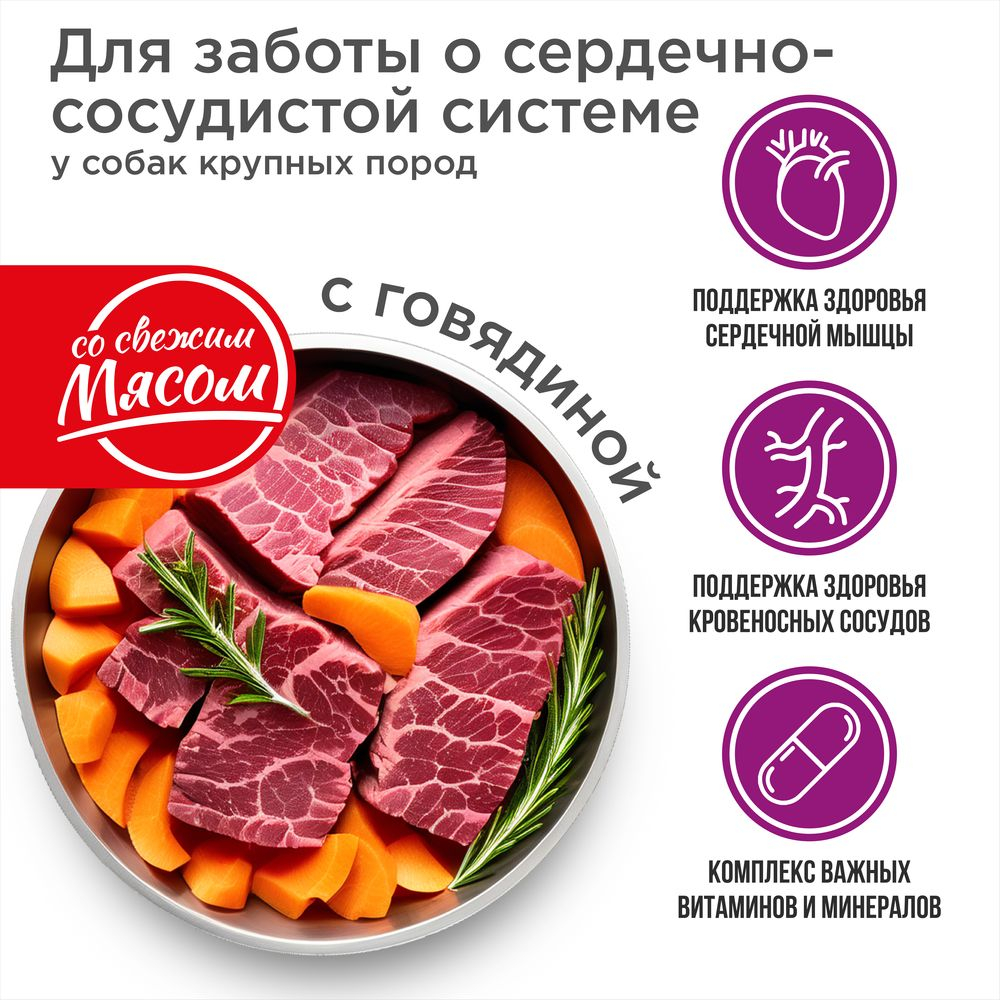 Корм сухой для взрослых собак крупных пород, премиум полнорационный комплекс, для заботы сердечно-сосудистой системы, с говядиной, 2,5 кг, QUATTRO