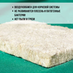 Агровата для выращивания 16,5*10*1,5 см, набор 10 шт. микрозелени и растений