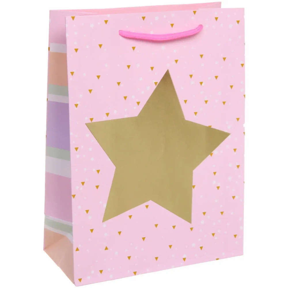 Пакет подарочный «Блеск» 18*24*8,5 см