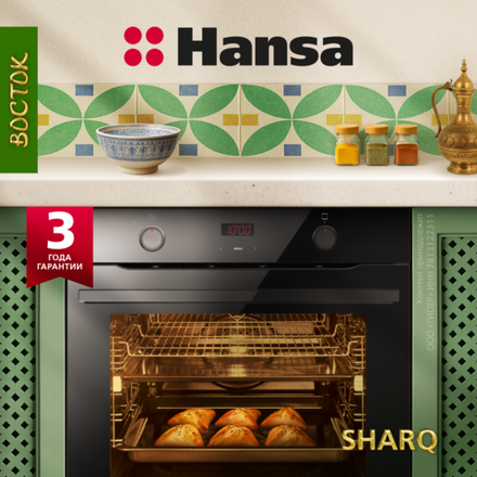 Духовой шкаф Hansa BakingPro BOES684097