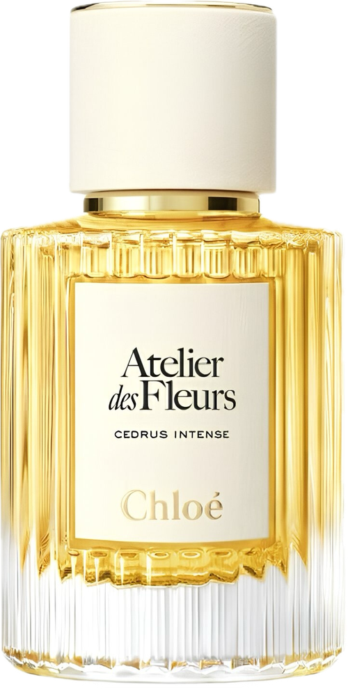 Chloé Cedrus Intense EDP