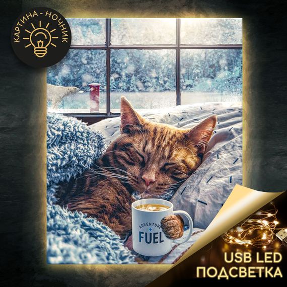 Rəqəmlərlə rəngləmə \ Картина по номерам (40х50) МОРОЗНОЕ УТРО USB LED подсветка