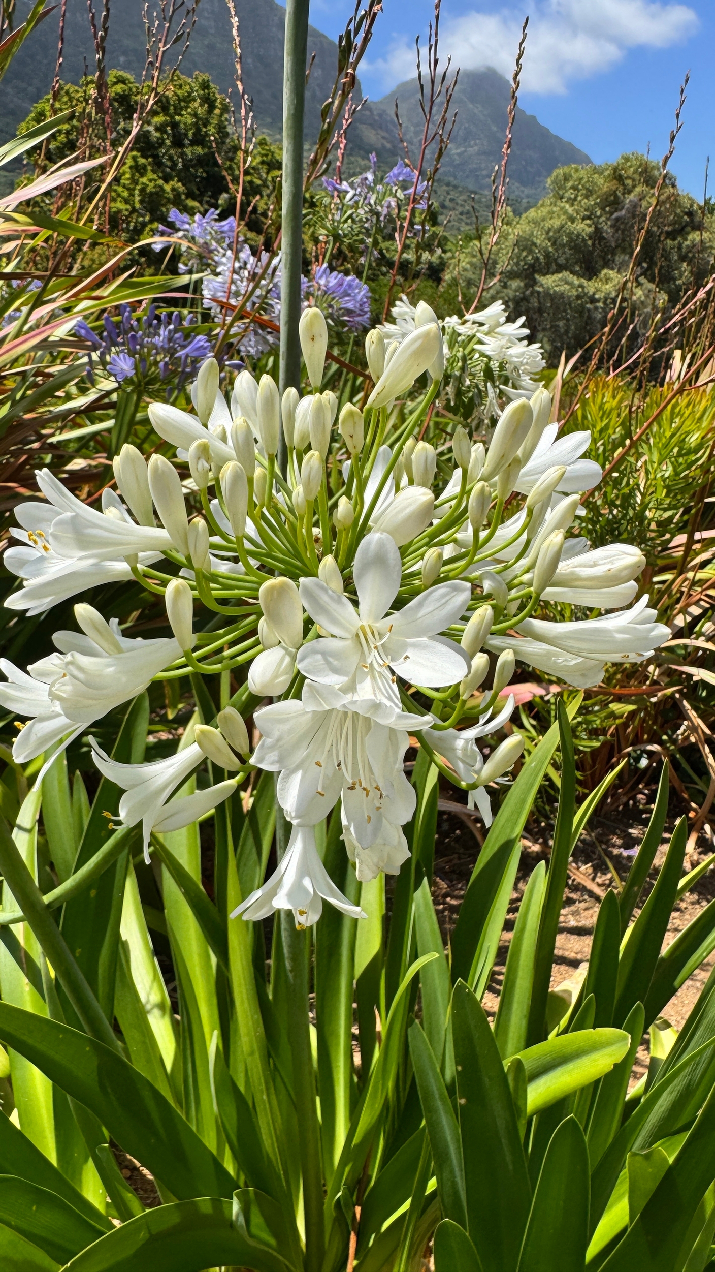 Новогодний мини-розыгрыш 3 ваучеров на сумму 5000 рублей