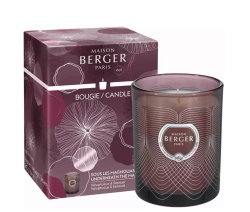 Maison Berger Paris - Ароматическая свеча Molecule Prune Magnolia 240г / артикул   7411  / GTIN 3127290074119