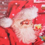 Коробка подарочная «Дед Мороз и кошка» 18*18*8,5 см