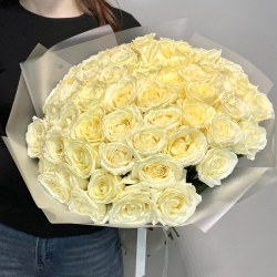 51 белая Роза премиум