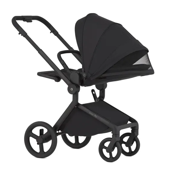 Коляска ANEX Flo 3 в 1 Lungo
