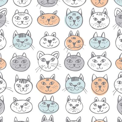 котики