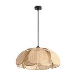 Подвесной светильник Freya FR5529PL-01B