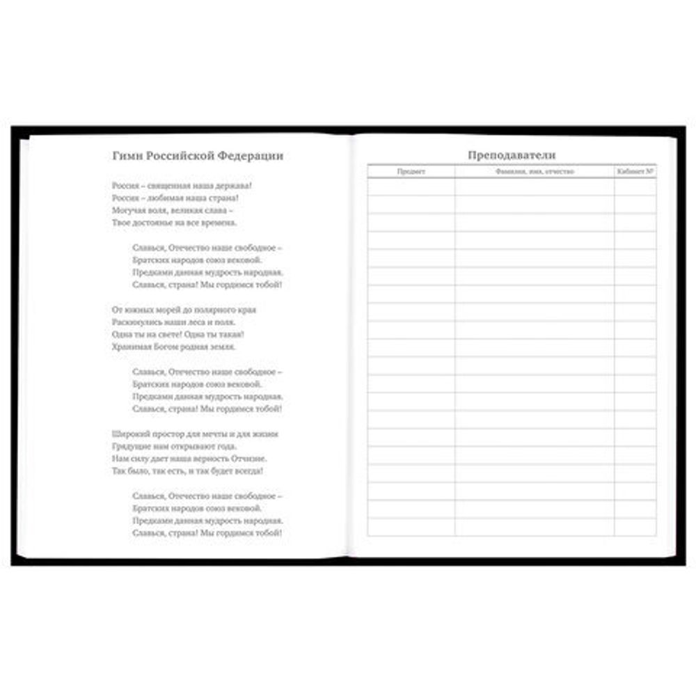Дневник 5-11 класс 48 л., твердый, BRAUBERG, матовая ламинация, с подсказом, "Гитара", 107185