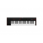 MIDI-клавиатура IK MULTIMEDIA iRig Keys 2
