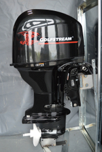 Лодочный мотор бензиновый Golfstream F60 FEL-T-EFI