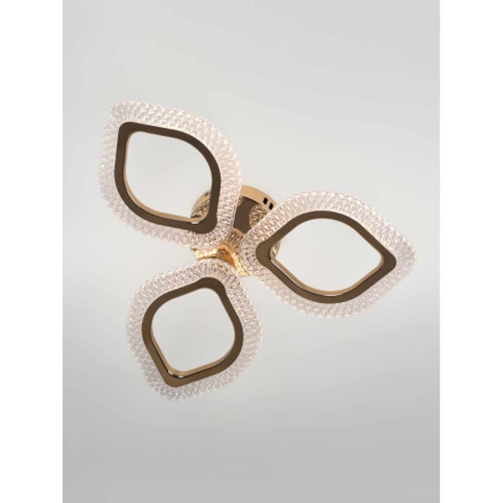 Светильник потолочный светодиодный Rivoli Erminia 6177-703 LED 36Вт 3000-6000К с пультом | Rivoli